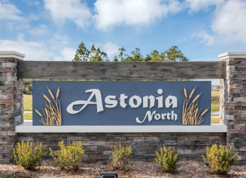 Astonia |Novak Reaty
